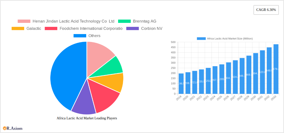 Africa Lactic Acid Market Research Report - Market Overview and Key Insights