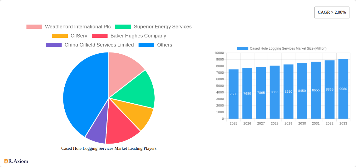 Cased Hole Logging Services Market Research Report - Market Overview and Key Insights