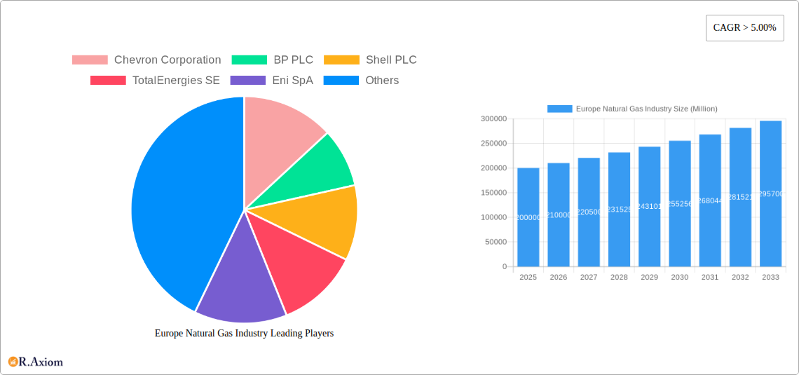Europe Natural Gas Industry Research Report - Market Overview and Key Insights