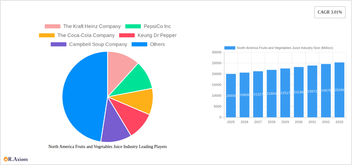 North America Fruits and Vegetables Juice Industry Research Report - Market Overview and Key Insights