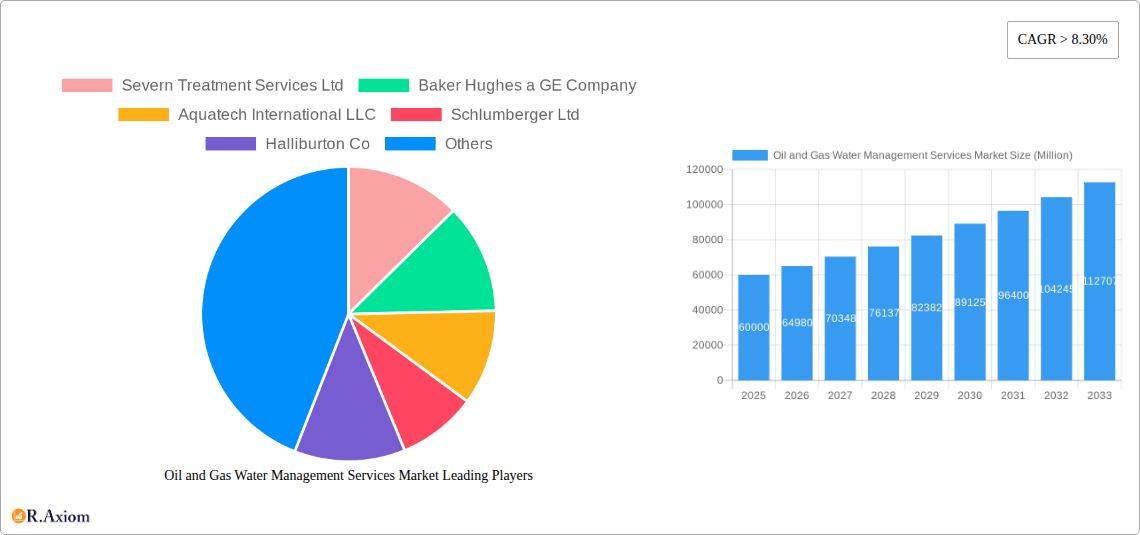 Oil and Gas Water Management Services Market Research Report - Market Overview and Key Insights