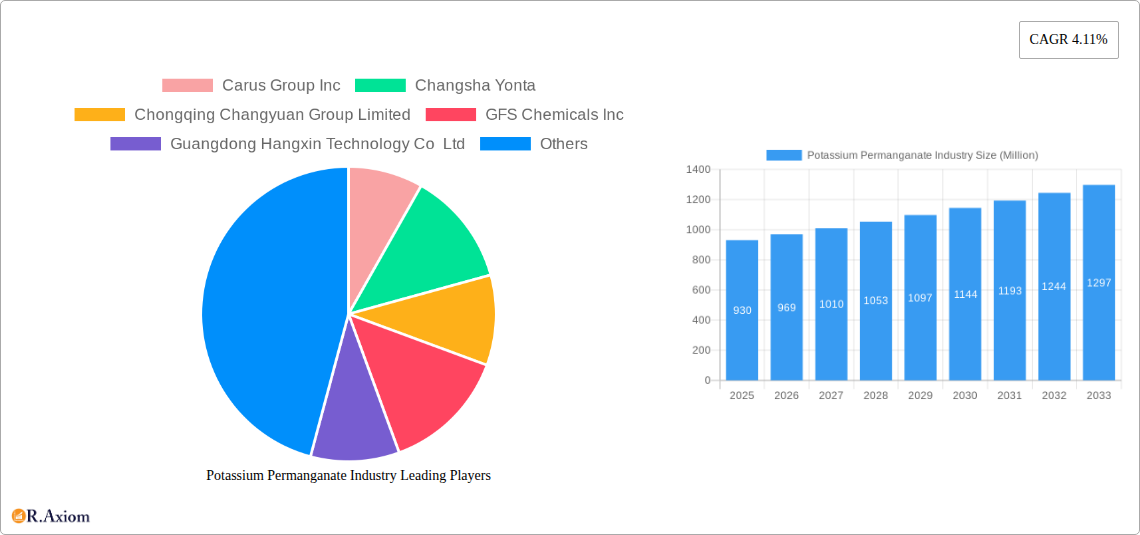 Potassium Permanganate Industry Research Report - Market Overview and Key Insights