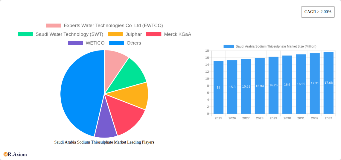 Saudi Arabia Sodium Thiosulphate Market Research Report - Market Overview and Key Insights