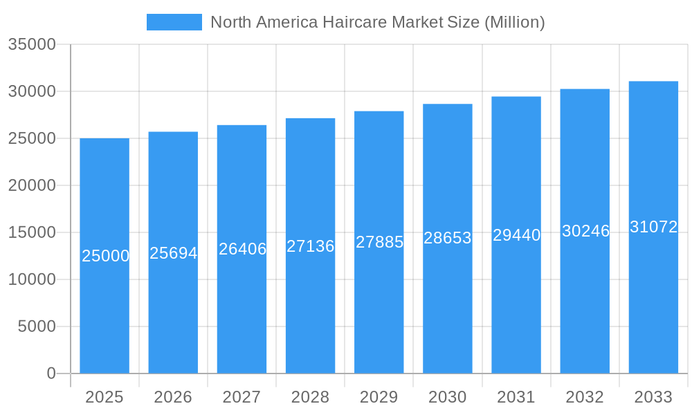 North America Haircare Market Market Size and Forecast (2024-2030)