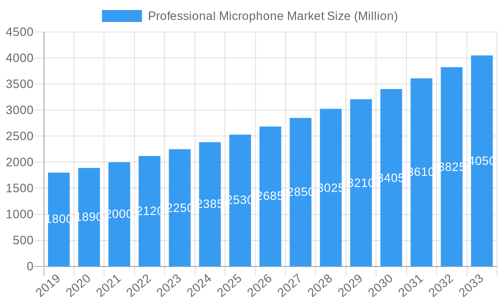 Professional Microphone Market Market Size and Forecast (2024-2030)