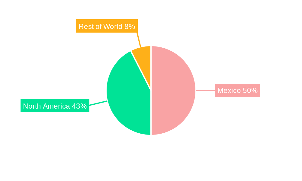 Mexico Automotive Parts Die Casting Market Market Share by Region - Global Geographic Distribution