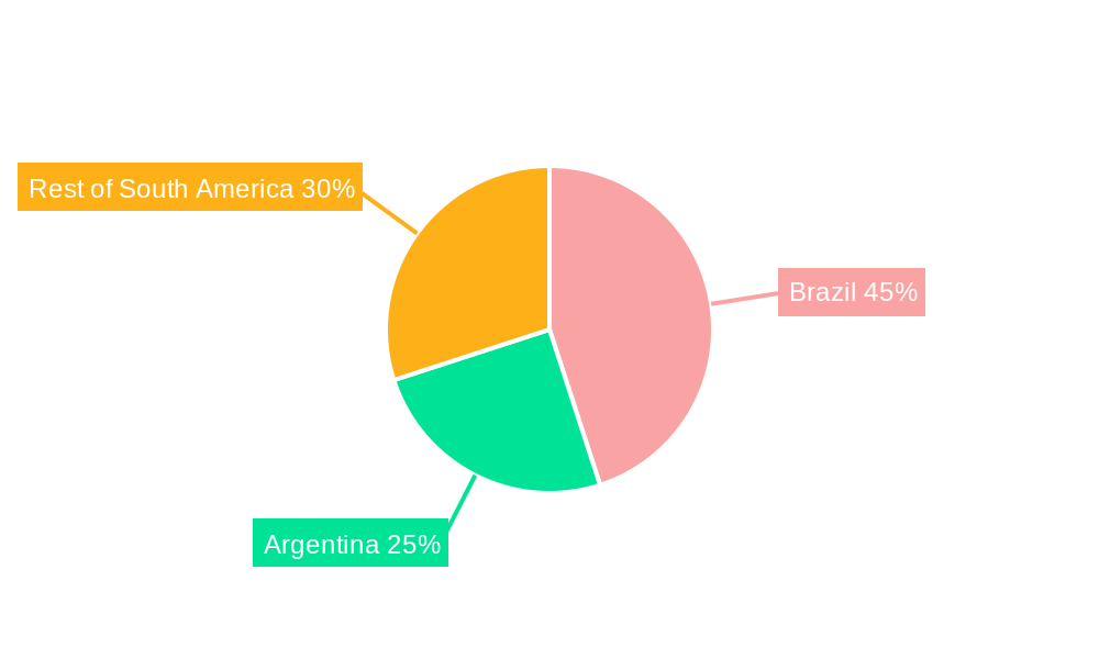South America Primary Battery Market Market Share by Region - Global Geographic Distribution