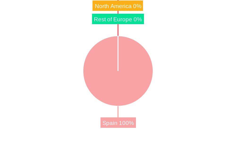Spain Luxury Brand Market Market Share by Region - Global Geographic Distribution